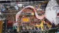 Seedgroup - Amiga Forever 2009