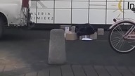 Oto jak są traktowane Twoje paczki