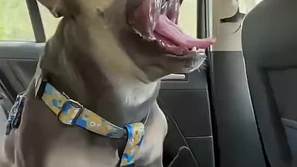 Jedziemy na spacerek.