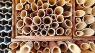 Natura, czy sztuczność - które lepsze siedliska dla murarek.