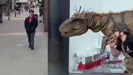 UWAGA DINOZAUR