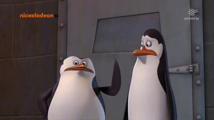 Pingwiny z Madagaskaru | Cały Odcinek | Przetrwać w miejskiej dżungli | Polsat TZ