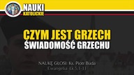 Czym jest grzech - Świadomość Grzechu - Ks. Piotr Buda | Nauki Katolickie #109