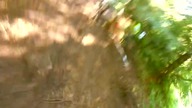 Mountain Bike - Fail Compilation - downhill/freeride