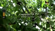 TR2 - 07-06-2020 - Reklama 2x, Autopromocja, Ogloszenie społeczne, Ident