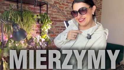 MIERZYMY SINSAY! WIOSNA!