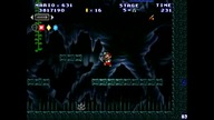 Mario Forever Mario In The FOREST V0.6.3 Chapter 5 TororoTchi