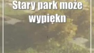 Stary park może wypięknieć.  Jest wizja, jak mógłby wyglądać