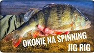 OKONIE NA SPINNING // jig rig // 2024