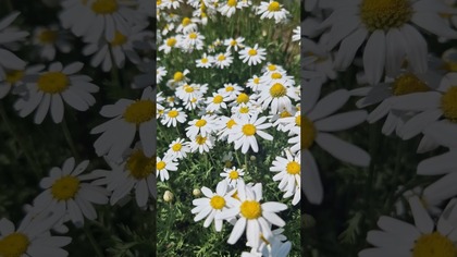  Po każdej burzy wychodzi słońce...  
