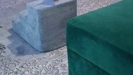 Nie jestem cykorem #chihuahua
