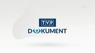 TVP Dokument Plansza testowa 21. 11. 2020