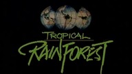 Las Tropikalny - Rain Forest - Las, kt&oacute;ry nie zmienił się od tysięcy lat