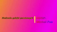 HDGP-Michał Fus Stan hodowli- ilość jaj, suplementacja; codzienność