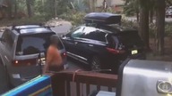 LiveLeak - Bear inside car