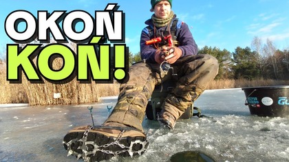 641 EMOCJE JAK NA RYBACH !!! MORMYSZKA NA CHWAŁOWICACH !!!