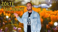 BLUE BOX - Żółte tulipany (z rep.  IMPERIUM) Disco Polo 2025