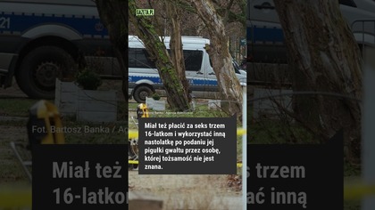 Gdzie ukrywa się Turek? #shorts