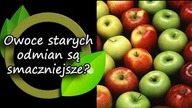 Czy owoce starych odmian są smaczniejsze?