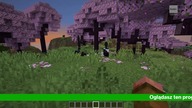 Rudak Games TIDZIMI - Komunikat o zmiany nazwy (06. 02. 2025)