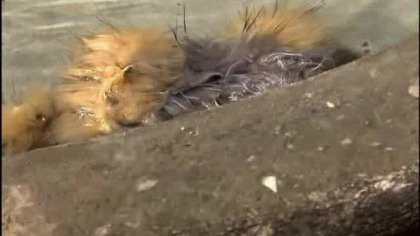 En Nombre del Amor 02