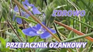 NATURALNE ZDROWIE  #medycynanaturalna 