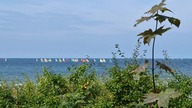 Ustka 13