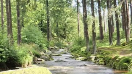 White Noise for Sleeping baby Mountain River #sleep #nature