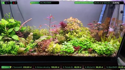 AkwaLive porządki [LIVE #95]