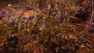 Far Cry Primal #12 Wizja ognia