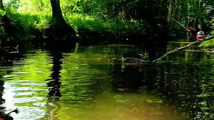Drawa - Rzeka Kajakarzy! Piękna Przyroda i Pogoda! Trzeci Dzień Spływy Kajakowego!