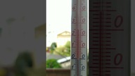 Dziennik zagłady - LATO 