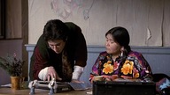 Northern Exposure S03E13 Things Become Extinct