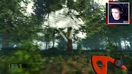 Rezi w The FOrest