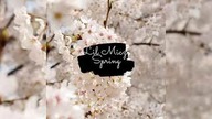 Lil Miczi - Spring (Full Album)(Official Audio)