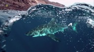 Wielki Pacyfik Ocean namiętności, odc.  3