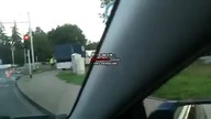 Wypadek żubra