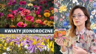 Najpiekniejsze kwiaty jednoroczne do ogrodu, do donic na balkony i tarasy
