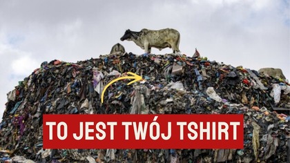 czy shein i zara to to samo?