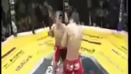 Brutal KO Compilation