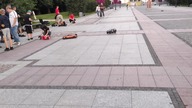 mini pokaz szalonych samochód