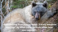 Yet another collection of cool online accounts of Shapeshifters sightings