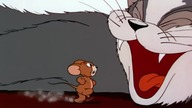 Tom. and. Jerry. E01. Puss. Gets. the. Boot. 720p. BrRip. x265. HEVC-PSA