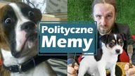 Konfederacja o jedzeniu psów: mięso to mięso [Polityczne Memy]