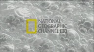 National Geographic Channel Poland [25.10.2010] - Continuity
