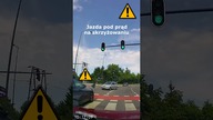 Jazda pod prąd na skrzyżowaniu #shorts #rikordwidjo
