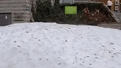 Opera Leśna w Sopocie 2026 - Gracjan Roztocki