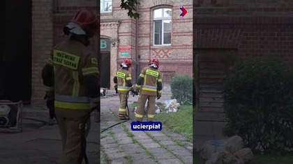 Mamy dla Was szybki przegląd najważniejszych newsów z Gorzowa