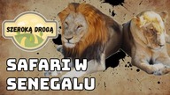 Park Fathala  Safari Senegal