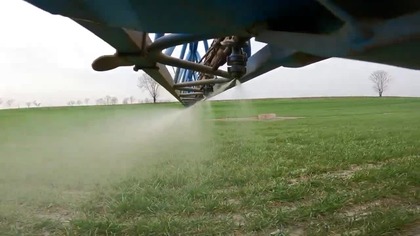 T1 w pszenicy - zmagania w walce o plon zaczynają się na nowo